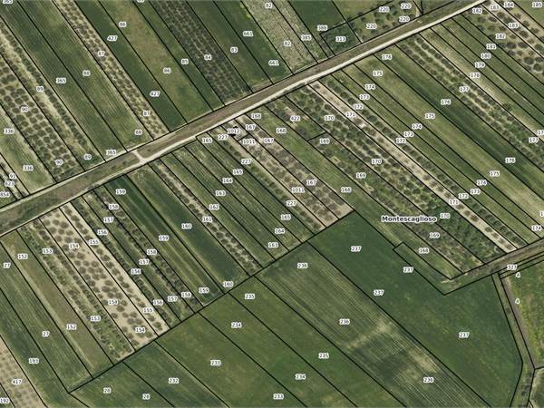 TERRENO AGRICOLO PIAEGGIANTE E IRRIGUO