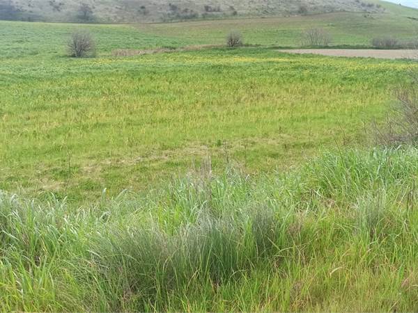 TERRENO AGRICOLO IRRIGUO